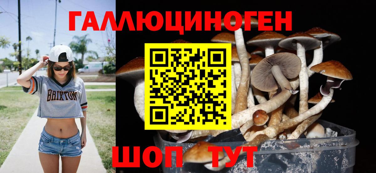 Узловая  Псилоцибиновые грибы Psilocybine cubensis  Вход с VPN 